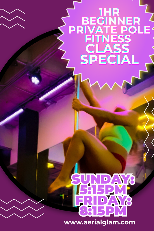 Beginner Private Pole Class